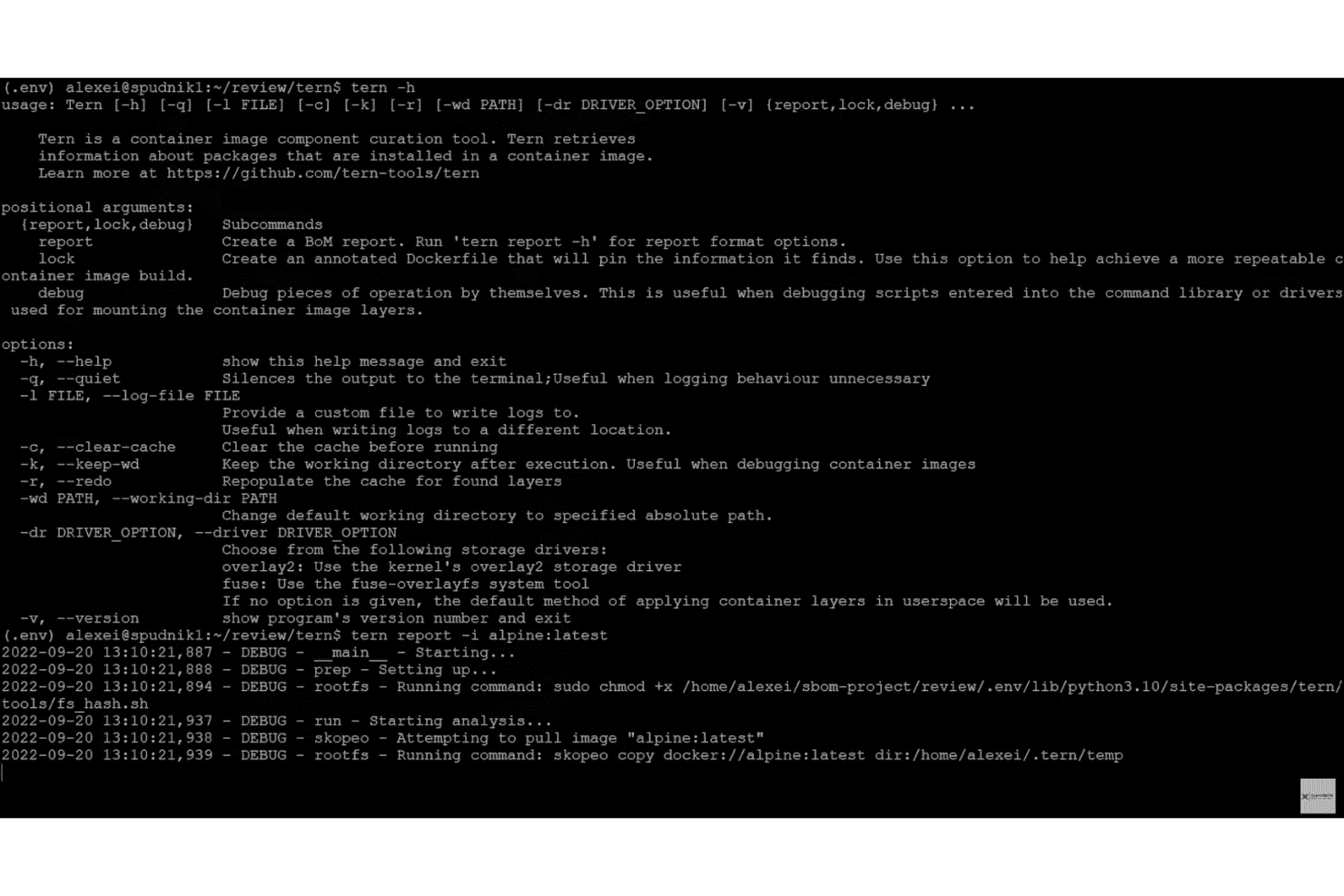 Terminal som visar hjälptext från Terns CLI och rapportkommandot som körs på avbildningen alpine:latest.