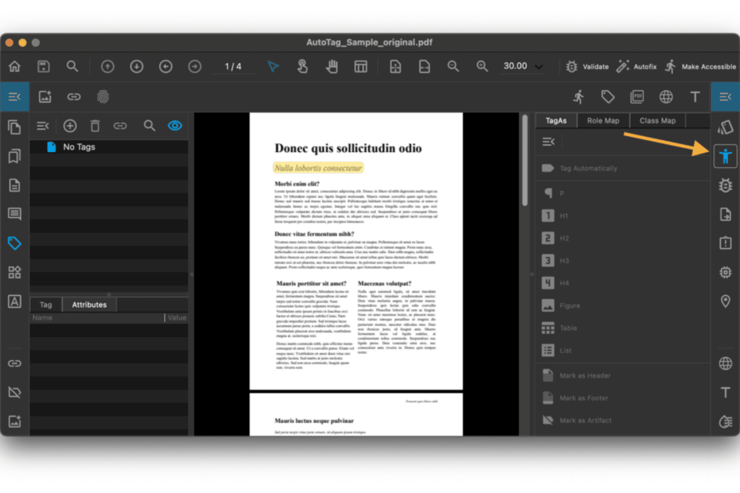 PDF-editori, jossa näkyy Mac-tietokoneen tagien määrityspaneeli sekä otsikko- ja rakenneasetukset.