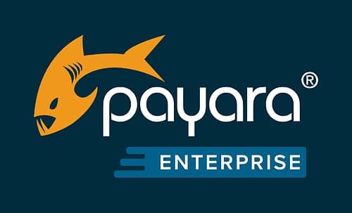 payara logo