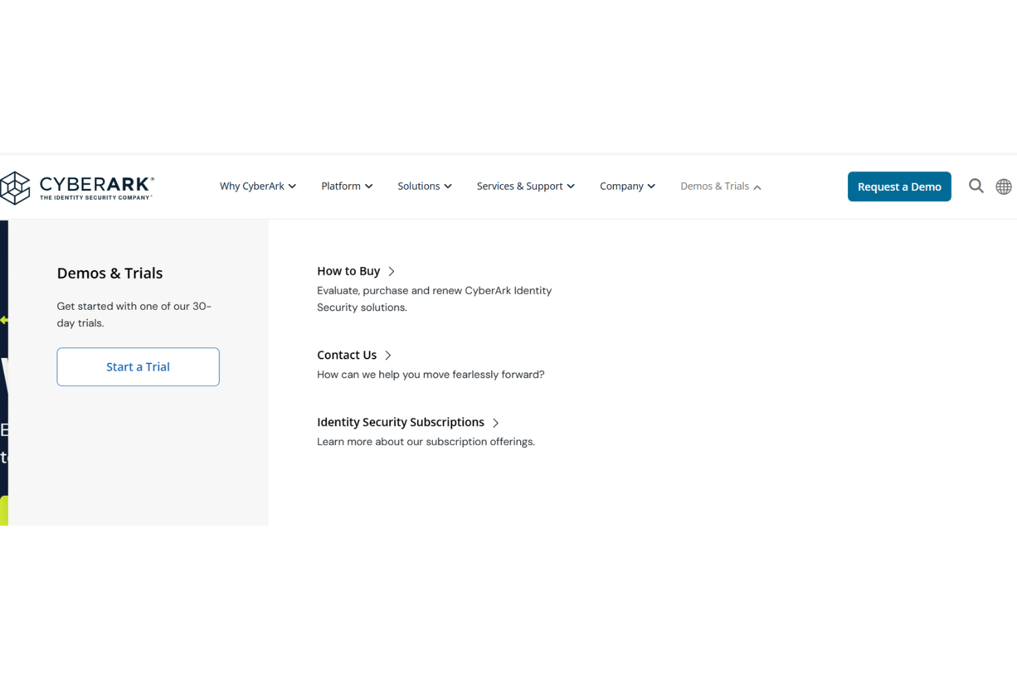 screenshot - CyberArk Review: Pros, Cons, Features, and Pricing