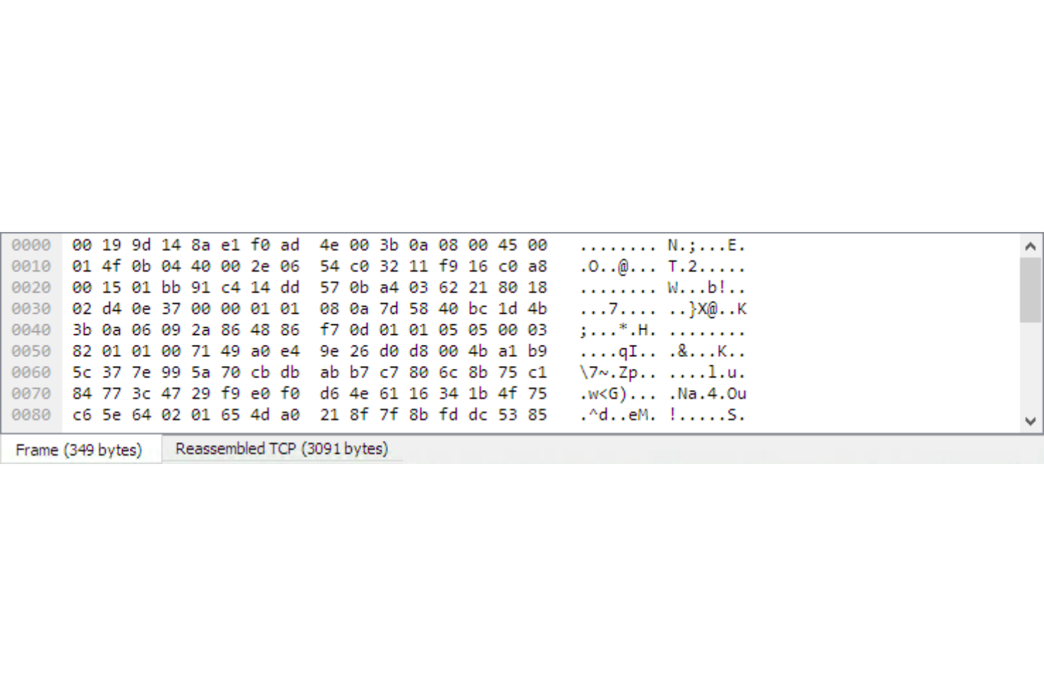 screenshot - Wireshark Review 2026: Pros, Cons, Features, and Pricing