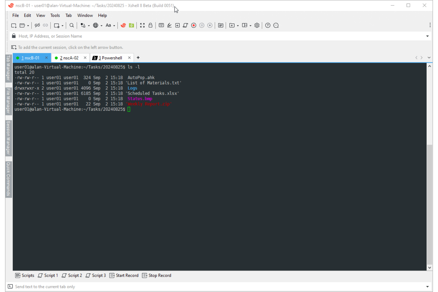 Xshell by Netsarang Computer screenshot - 12 meilleures alternatives à PuTTY pour 2026