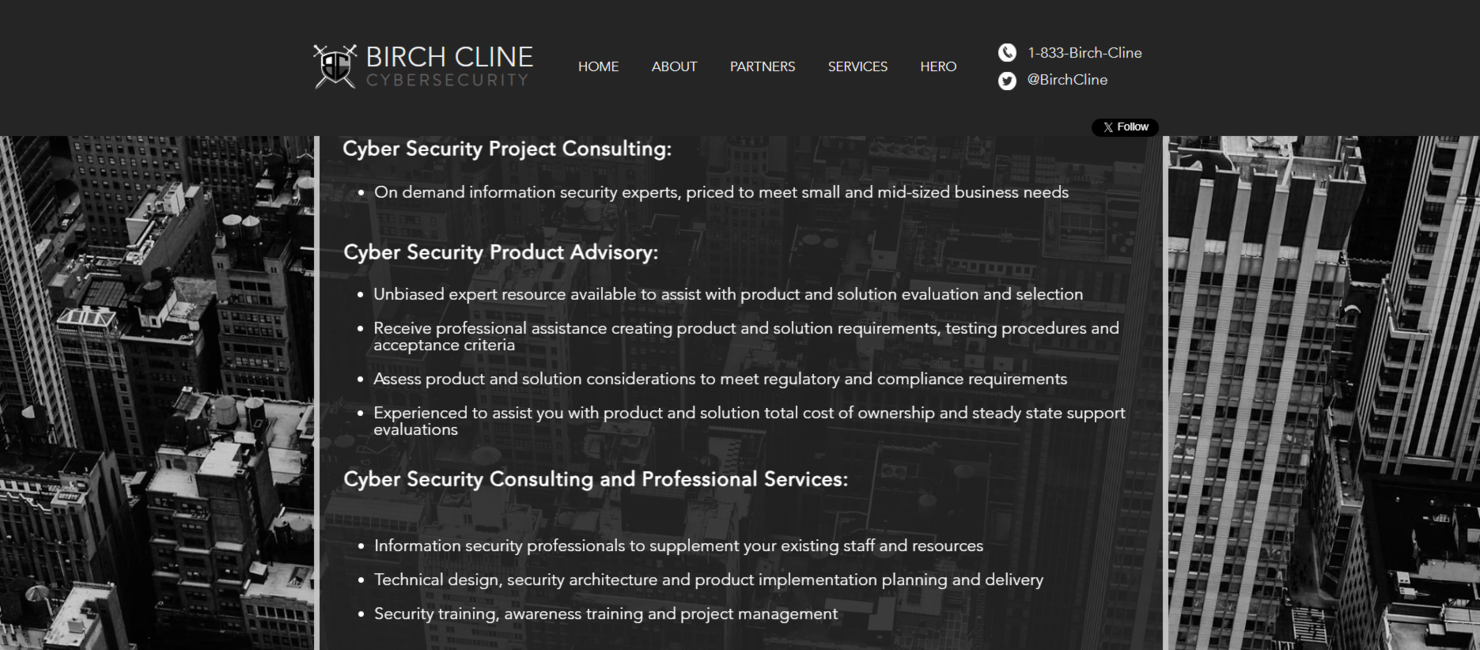 Birch Cline Technologies screenshot - 10 meilleures entreprises de cybersécurité à Dallas évaluées en 2026