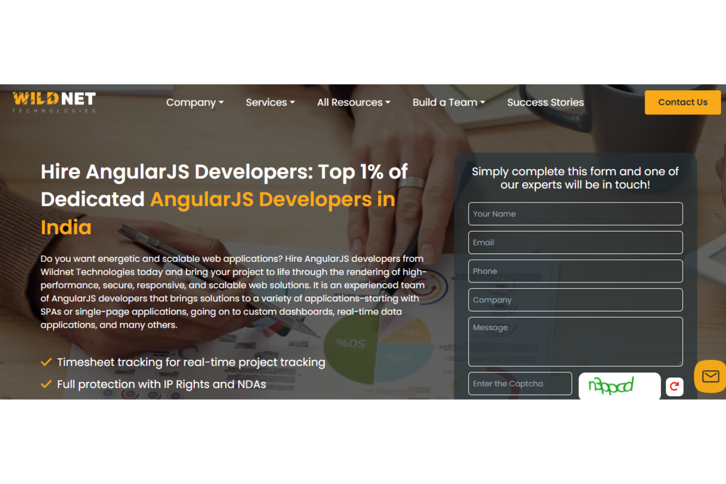 Wildnet Technologies screenshot - 10 Meilleurs Services de Développement Angular en 2026