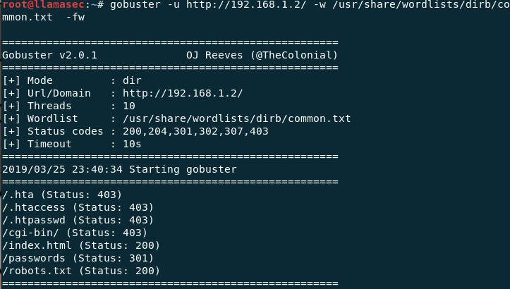 Gobuster screenshot - 20 Meilleurs Outils de Test de Pénétration des Applications Web en 2026