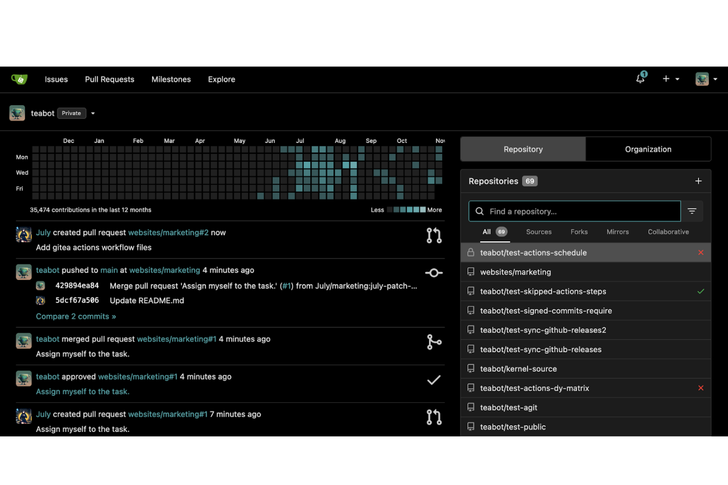 Gitea screenshot - 10 meilleures alternatives à GitHub évaluées en 2026