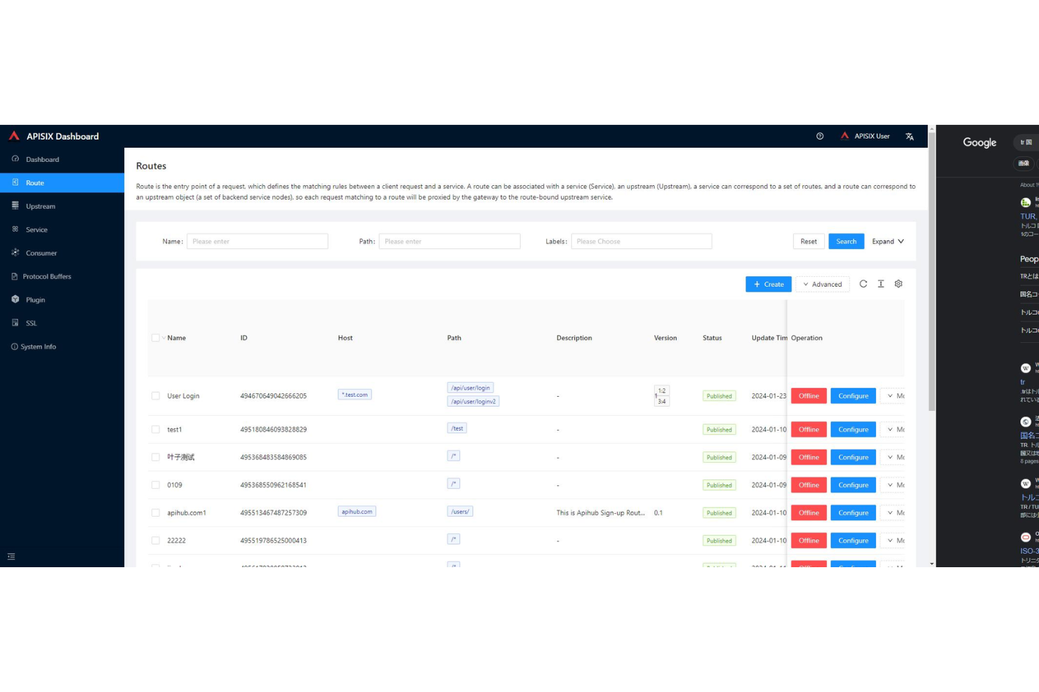Apache APISIX screenshot - I 10 Migliori Software API Gateway nel 2026