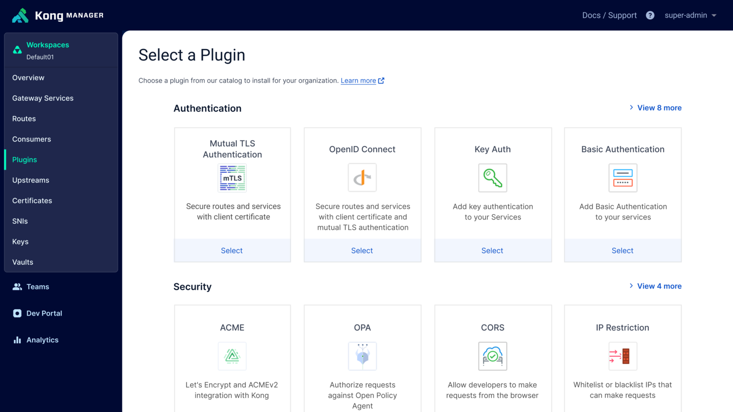 Kong screenshot - I 10 Migliori Software API Gateway nel 2026