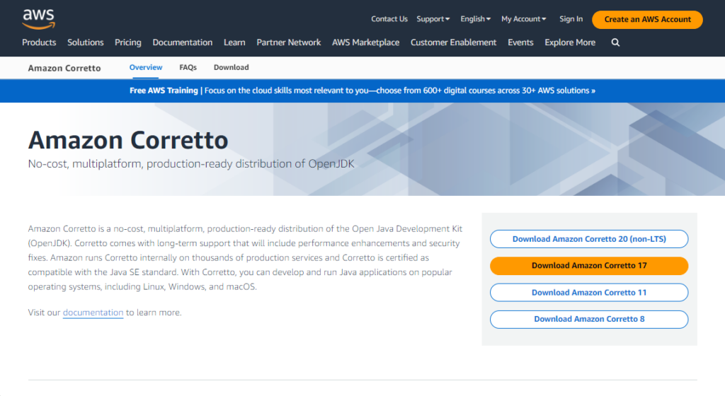 Amazon Corretto screenshot - 10 mejores IDE para potenciar tu desarrollo en 2026