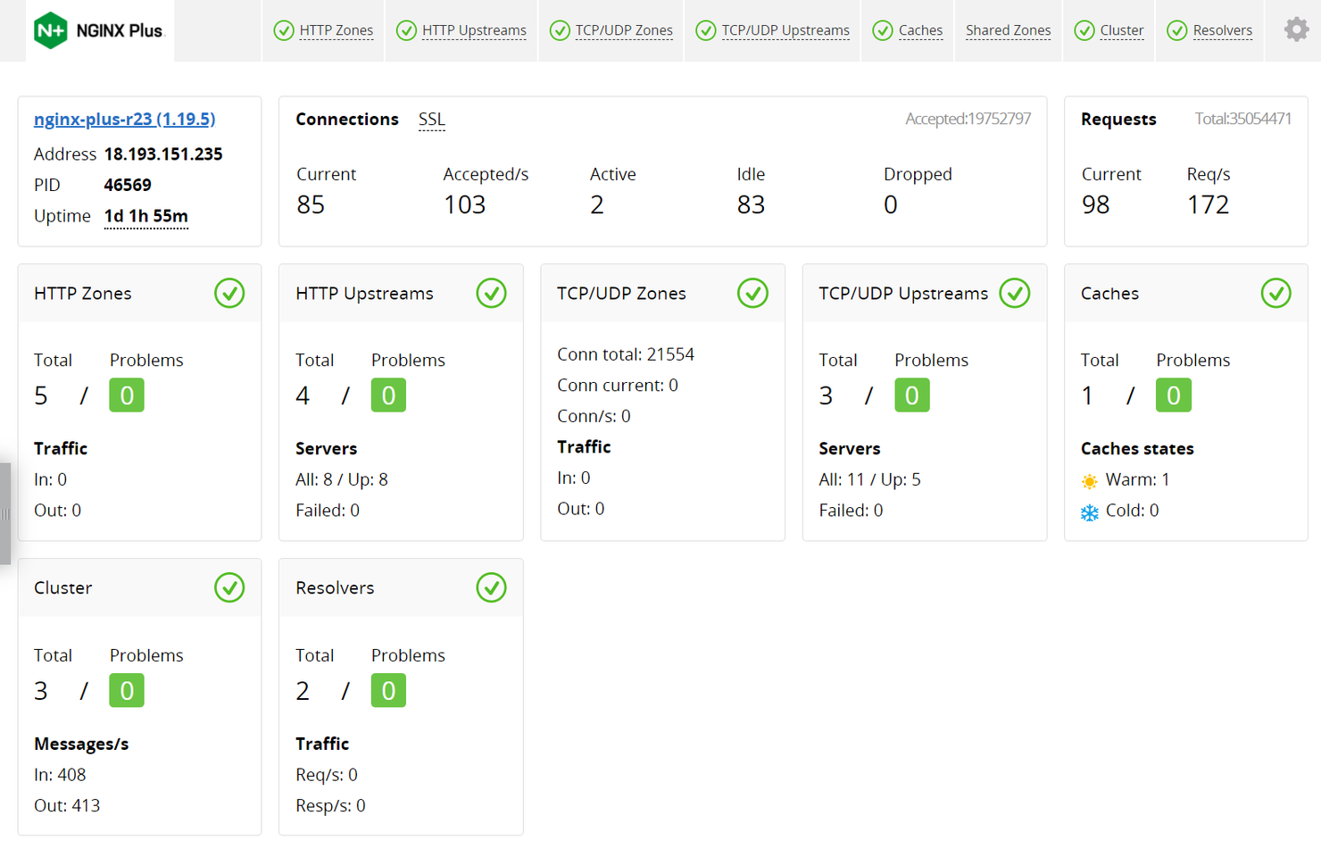 NGINX Plus screenshot - 10 Mejores Programas de Balanceo de Carga Analizados en 2026