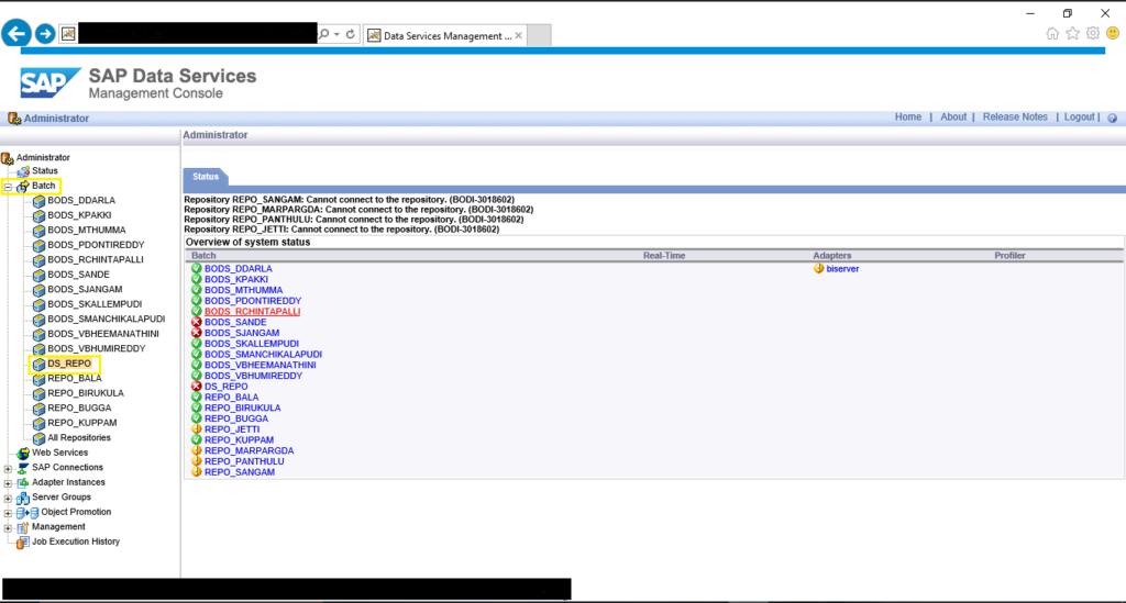 SAP Data Services screenshot - Guía de los 10 Mejores Software de Calidad de Datos
