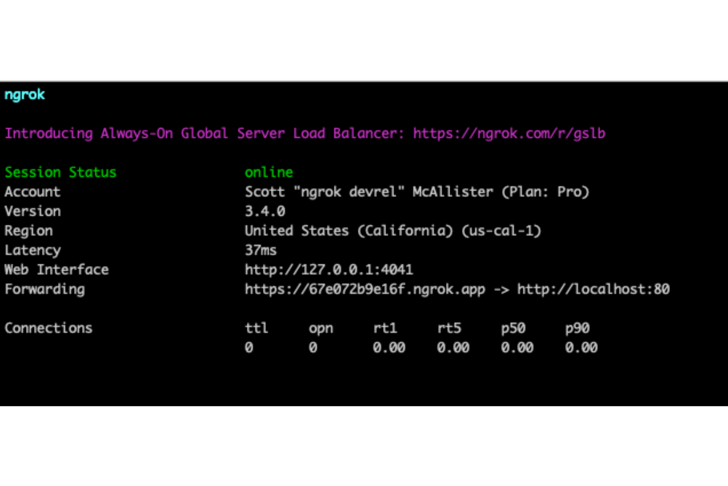 ngrok screenshot - Guía de las 10 mejores herramientas API para 2026