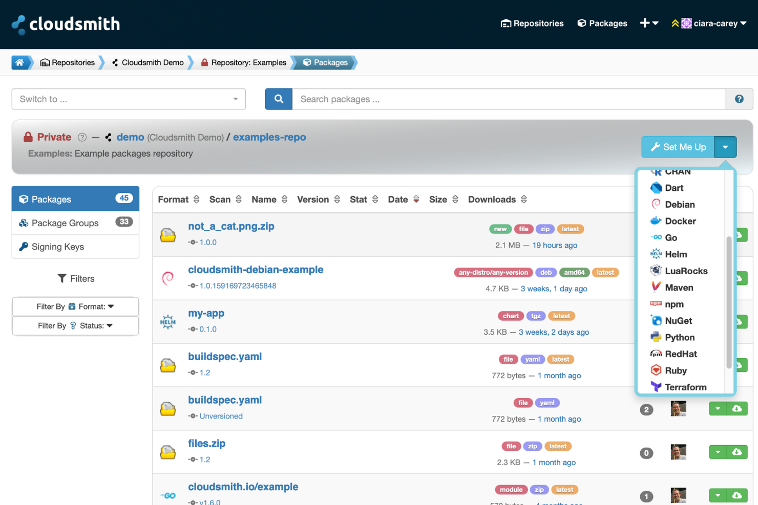 Cloudsmith screenshot - 10 beste tools voor artefactrepositories in 2026