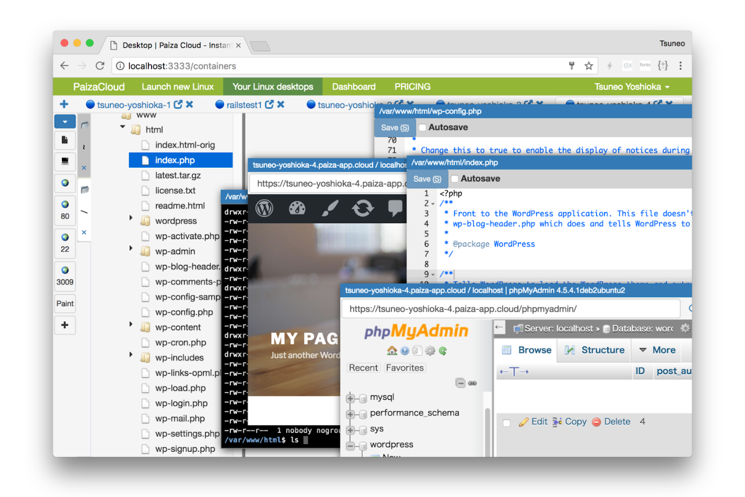 PaizaCloud screenshot - 19 CodePen Alternatives for 2026