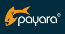 Azul Payara Server