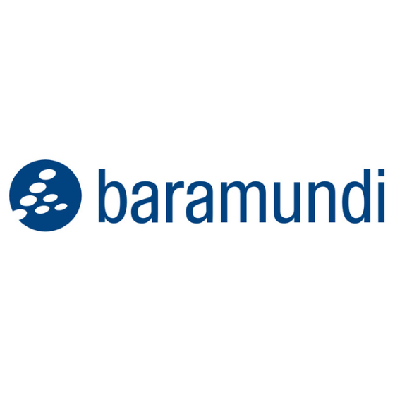 baramundi Patch Management