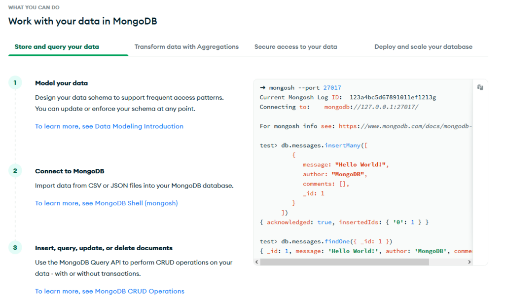 A screenshot focused on the additional information provided by the tool MongoDB. 