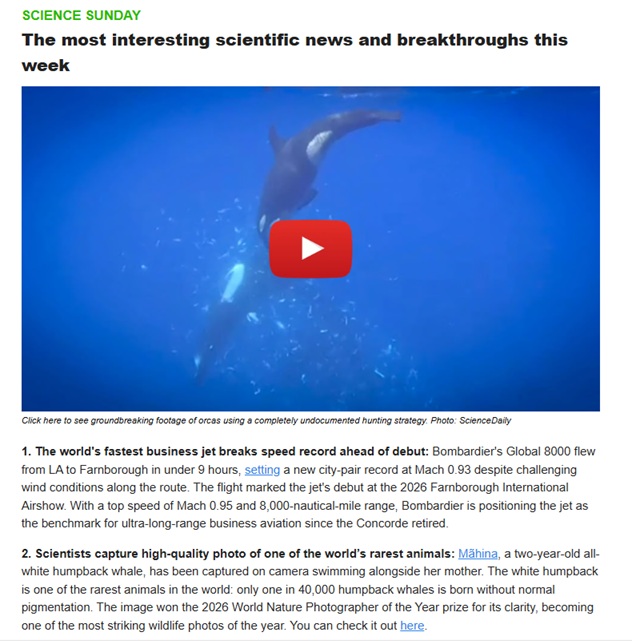Sample of Superhuman AI's newsletter