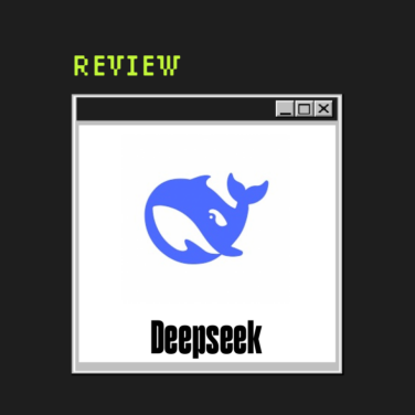 Deepseek Product Review 74262