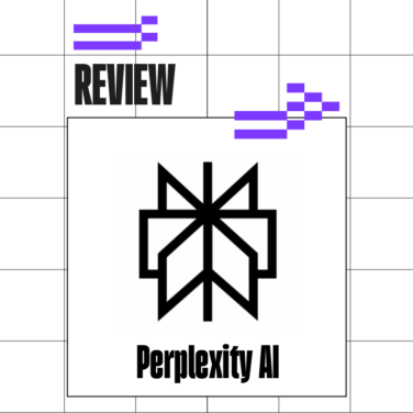 Perplexity ai Product Review 83101
